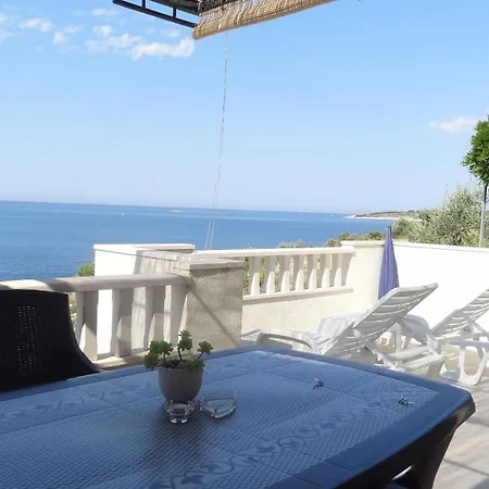 Apartman Branka - 30 M From *